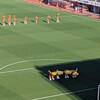 🔰はじめづくしの🍊サポの一日