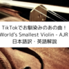 World’s Smallest Violin - AJR から英語を学ぼう【和訳・解説】