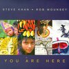 You Are Here - Steve Khan