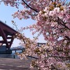 早春の神戸下見ツーリング。(土曜日、快晴)