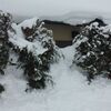 雪は降る、腹は減る、料理は浮かばない。