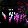 メッツァ・チームラボ森と湖の光の祭