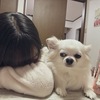 癒しーぬ🐶