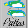 双子座「３ハウス」小惑星パラス　Pallas