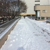 今日も大雪です