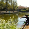 丸山公園の大池（埼玉県上尾）