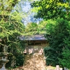 巨木感がすごすぎる『雷神社』