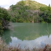 新観音ヶ池（鹿児島県いちき串木野）