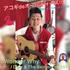 I Wonder Why(アコギdeオールディーズ!!解説☆2019.0216 投稿分)