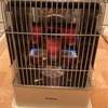 防災グッズ⁉カセットガス1本で小型石油ストーブに匹敵する暖かさ🔥イワタニガスストーブ『デカ暖』CB-STV-DKD