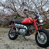 モンキー50の整備は細部まで完了？#チェーン掃除からフロントブレーキ交換など～試走で花見