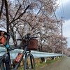 桜の季節だからリハビリ・サイクリング・・・
