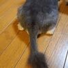 壊れた・・・(ﾉω<;)
