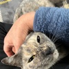 のんびりと猫と過ごした春彼岸