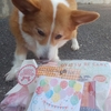 モテ期到来！？
