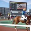 10年ぶりに大井競馬場へ行く