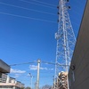 今日は久しぶりに向島〜近鉄小倉までウォーキング