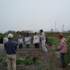 野菜の自家栽培をやってみませんか。