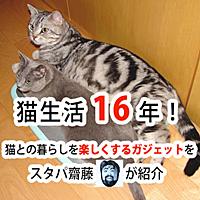 スタパとは コンピュータの人気 最新記事を集めました はてな