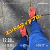 視察ラン12.88km〜1月12日〜