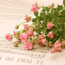 Blossom like a flower!
