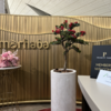 【レビュー】ドバイ空港T3のプライオリティパスで入れるラウンジは？ marhaba Lounge とAhlan Lounge at Bを利用した体験談紹介