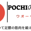 歩こう !! ウオーキング大会