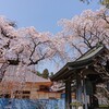 極楽浄土へサダオさん