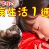 5月25日の動画