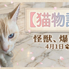 4月1日　怪獣爆誕！？ぼくの嘘　猫用ソファでリラックス