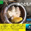 海のともだち ～ 癒しのダイビング水中写真集 ～ 【Kindleオーナーライブラリー】