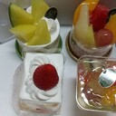 ぽてこ日記 プチ断捨離