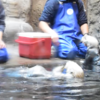 須磨水族館で癒されて【須磨・兵庫】