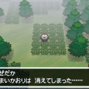 ポケモン カテゴリーの記事一覧 ミルクの日記