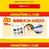 【３/３１】すき家新商品発売記念キャンペーン【レシ/web】 
