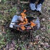 【Picogrill398】焚き火台でステーキを焼いた休日