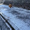 雪遊び子どもの姿なつかしき