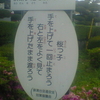 横断歩道を渡りましょう　桜っ子　てを上げて一回止まろう　右と左をよく見て手を上げたまま渡ろう