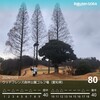 冷たい風雨の森林公園【ラウンドレポ24-4】