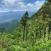 登山を文章で表現することについて