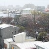 春の雪、再び／神々の黄昏