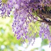 2024年4月の振り返り