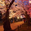 4月22日…千秋公園桜まつり★その3