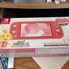 Switch lite買ったよ&ビルシャナ戦姫プレイ感想