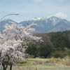 日本の四季、自然の素晴らしさ！