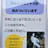 浜ちゃん日記　　浜松動物園に飛来し巣を作ったコウノトリきずな君の姿が見えなかった