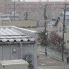 ホントに雪ふった