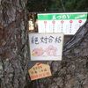 絶対合格祈願企画！第37回社会福祉士・第27回精神保健福祉士国家試験合格絵馬を飾ってきました。
