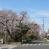 境浄水場_武蔵境通り沿い（東京都武蔵野市）