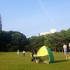 都内の公園でピクニックのおすすめスポット